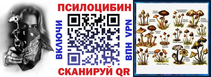 Галлюциногенные грибы Psilocybine cubensis  продажа наркотиков  Морозовск 